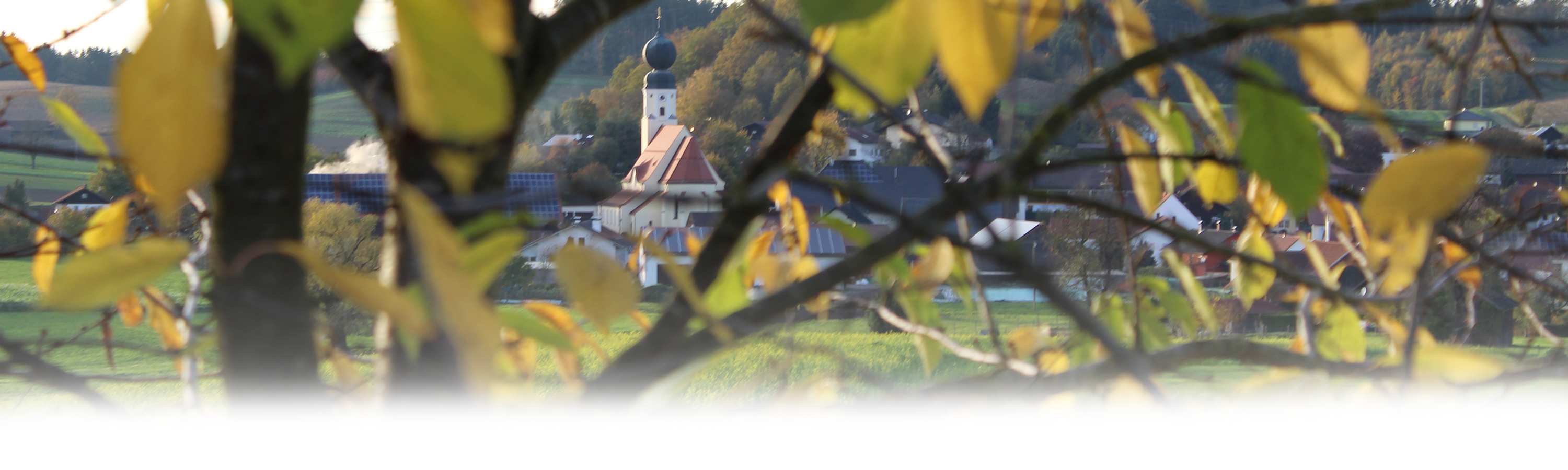 hero_herbst_04.jpg